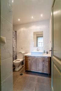 a bathroom with a sink and a toilet at Villa Korfes-Κορφές Τριώροφη Βίλα για Οικογένειες και Παρέες in Karpenision