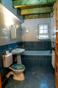 a bathroom with a toilet and a sink and a tub at Cabanita in Întorsura Buzăului