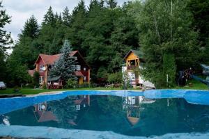 a house with a pool of water in front of a house at Cabanita in Întorsura Buzăului