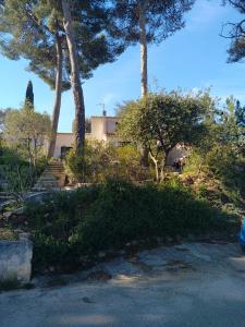 Vonkajšia záhrada v ubytovaní Villa 5 pièces Sanary - 12 min à pied plage Bandol Lido - 350 m carres jardin - Climatisation - Vue Montagne du Gros cerveau - la pinède