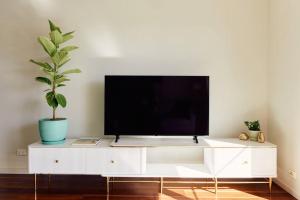 een tv op een witte kast met een potplant bij Vine Close Apartment in Healesville