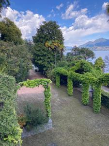 a park with a bench covered in green ivy at La Suite del Castello in Belgirate