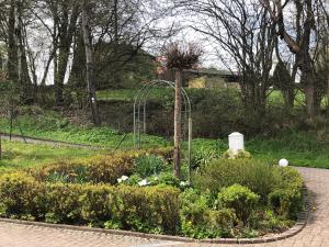 Ein Garten an der Unterkunft Ferienwohnung am Rohrbacherhof Sabine Rück