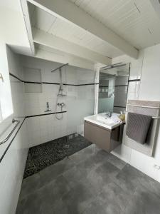 a bathroom with a sink and a shower and a mirror at Gite des vieilles pierres in Seigy