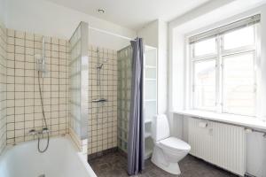 a bathroom with a shower and a toilet and a window at Famous Lakes Apt - City Central in Copenhagen