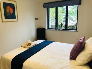 1 dormitorio con 1 cama blanca grande y ventana en Sea Cliff View Designer Home, en Lyme Regis