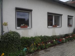 Zahrada ubytování Alteschule15