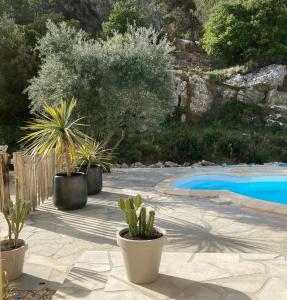 un patio con macetas y una piscina en NOUS, en Agel