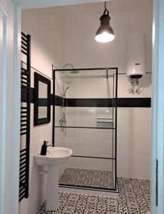 a bathroom with a sink and a glass shower at Weisz Castle style Apartment-City Center-Free Private Parking,Wifi,Air conditioner in Carei