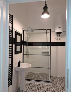 a bathroom with a sink and a glass shower at Weisz Castle style Apartment - With Free Private Parking,Wifi in Carei