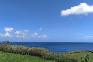 una mucca che pascola su una collina vicino all'oceano di Casa dos Fenais a Praia da Graciosa