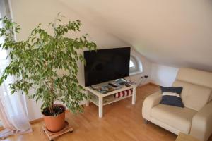 een woonkamer met een tv en een bank en een plant bij Ferienwohnung Dorfblick in Chieming
