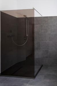 a shower with a glass wall in a bathroom at Casa Doris in Sovata