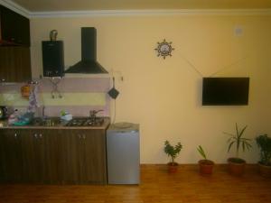 cocina con fogones y fregadero en una habitación en Aygestan Comfort Holiday Home, en Ereván