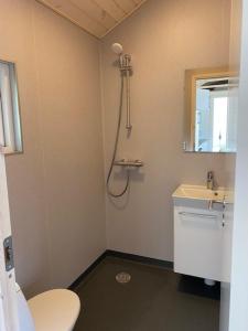 a bathroom with a toilet and a sink and a shower at Rosenvold Strand Camping in Stouby