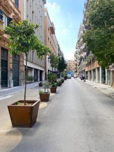 an empty city street with a tree in a pot at Casa Granatelli in Palermo