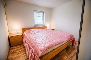 a small bedroom with a bed and a window at Apartment Rimljanček in Leskovec pri Krškem