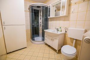 uma casa de banho com um WC, um lavatório e um chuveiro em Apartment Rimljanček em Leskovec pri Krškem