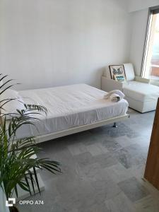 - une chambre avec un lit et une plante en pot dans l'établissement Résidence Le Persepolis 50 m de la mer, à Cagnes-sur-Mer