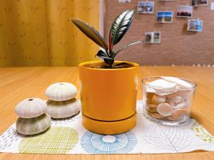 a potted plant in an orange vase on a table at LuLu Stay in Wakkanai