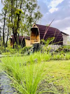 una casa in mezzo a un campo con erba di Bamboo Austin Mountbatur a Baturaja