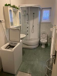 a white bathroom with a toilet and a shower at Privatsalatin 