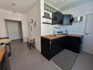 Köök või kööginurk majutusasutuses Pelclova Apartment