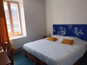 1 dormitorio con 1 cama con 2 almohadas en HOTEL DE FRANCE, en La Tour-du-Pin