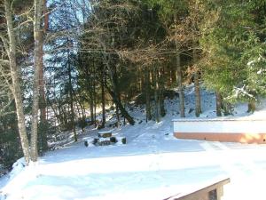 Maison d'altitude avec vue panoramique à Gérardmer talvel