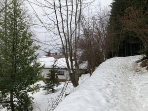 Loodusmaastik puhkemaja lähedal
