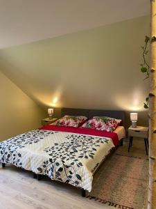 a bedroom with a bed and two night stands and two lamps at Agroturystyka Sosnowy Gaik in Tykocin