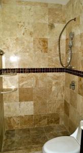 a bathroom with a shower and a toilet at Hotel Punta Esmeralda in Playa del Carmen