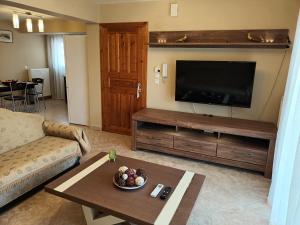 a living room with a couch and a tv at LIVIERATOS APARTMENTS in Lixouri