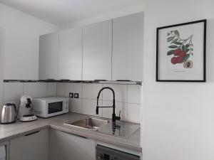 Beau T3 Litchi vue océan piscine的厨房或小厨房