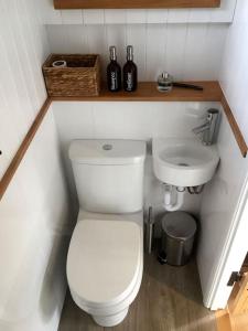 a bathroom with a white toilet and a sink at The Nutbourne Hut - shepherd's hut - pint-sized luxury in Hambrook