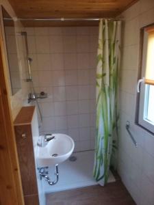 ein Bad mit einem Waschbecken und einem Duschvorhang in der Unterkunft Holiday home Fuhlendorf 1 in Fuhlendorf