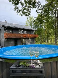zwei Gläser Wein im Whirlpool in der Unterkunft Sniegi Apartments with sauna in Madona