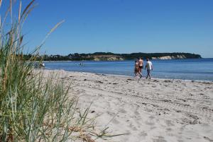 eine Gruppe von drei Personen, die am Strand spazieren in der Unterkunft Strandhaus Lobbe - Fewo 45499 in Lobbe