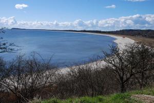 Blick auf einen Strand mit Sand und Wasser in der Unterkunft Strandhaus Lobbe - Fewo 45499 in Lobbe + 12 Fotos