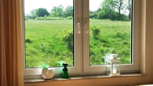 a window with a view of a green field at Strandhaus Lobbe 45481 in Lobbe