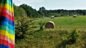 a group of hay bales in a field at Strandhaus Lobbe 45481 in Lobbe