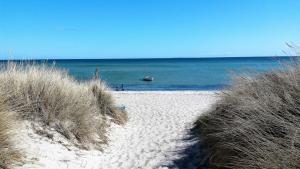 a sandy beach with a boat in the water at Strandhaus Lobbe 45481 in Lobbe