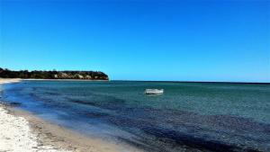 a boat sitting in the water on a beach at Strandhaus Lobbe 45481 in Lobbe +19 photos