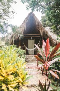 a house with a thatched roof with a pathway leading to it at Cabaña Wiwa Tayrona in Santa Marta