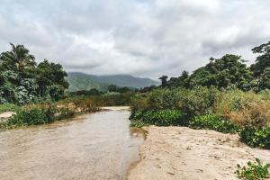 a river in the middle of a field with trees at Cabaña Wiwa Tayrona in Santa Marta