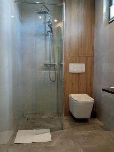 a bathroom with a glass shower and a toilet at Szarga in Lubiatowo