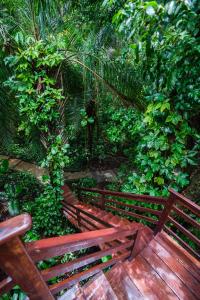 Vườn quanh Anjali