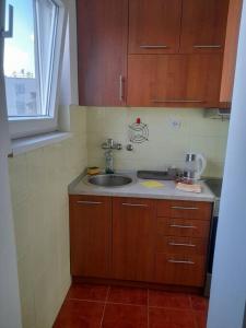 贝尔格莱德Elpa的带水槽和窗户的小厨房 更多5张照片