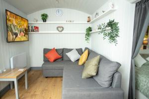 sala de estar con sofá gris y almohadas coloridas en Holly Lodge - Quirky Shepherd's Hut With Hot Tub - Bespoke Made From A Salvaged Railway Carriage, en Boston