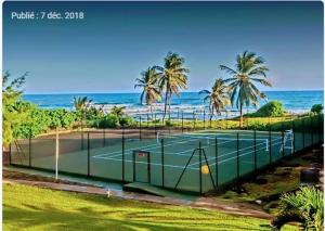 a tennis court next to the ocean with palm trees at Appartement Varangue, Anse des rochers in Saint-François
